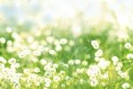 Al di l� del bene e del male