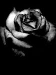 Chiedo all�anima di me
