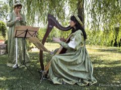 Concerti