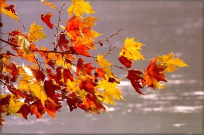 Era novembre