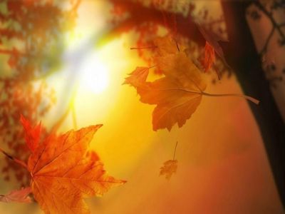 Autunno
