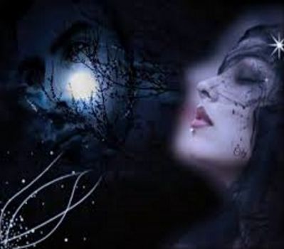 Le Stelle