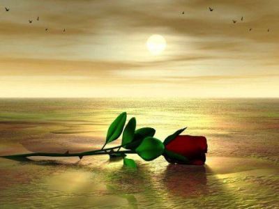 Primavera d'amore
