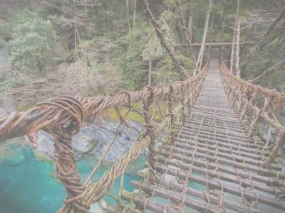 Pianti di Verginit�