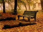 Sogni