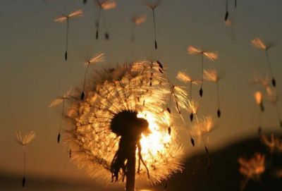 Spazi di luce