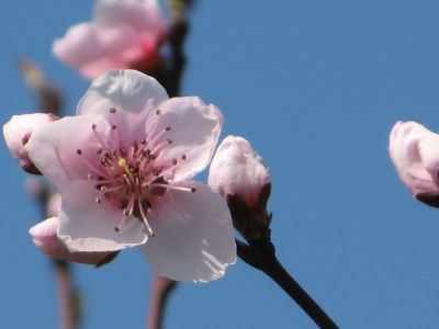 In un attimo torna Marzo  