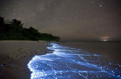 Onde di stelle
