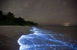 Onde di stelle