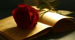 Liturgia d'amore