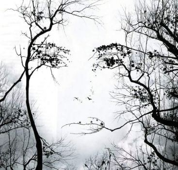 Alberi spogli