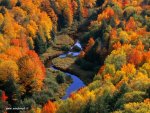 �Maestoso Autunno�