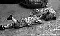 �Amico�