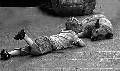 �Amico�