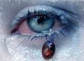 �L�odio mi culla� (Endecasillabi remissivi)