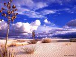 �Lode alla Natura�