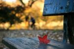 Il canto dell�io