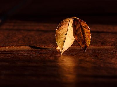 Dalla luce al buio (l�infinito scorrere)