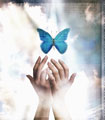 Serenit�