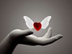 E il cuore s�aprir� con nuovi battiti