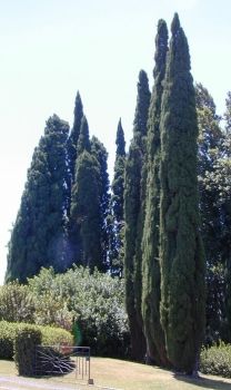 L�abbraccio del mio silenzio