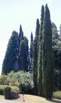 L�abbraccio del mio silenzio