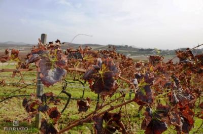 Ricordi d�autunno
