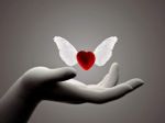 E il cuore s�aprir� con nuovi battiti