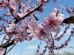 Sorrider� di nuovo primavera