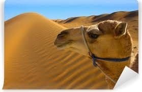 Deserto