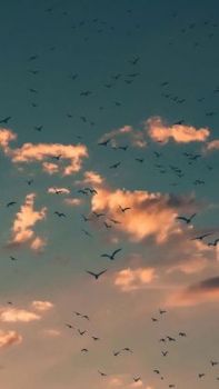 Sogno