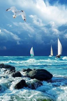 Come navi all�orizzonte