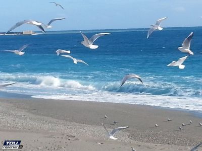 Nell�Apoteosi