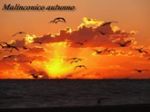 M�lanconique automne