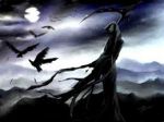 L� dove � spenta primavera