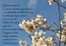"Profumi di primavera"