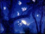 Tra gli alberi. Le foglie  