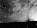 Sar� polvere