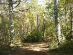 La luce dorata di Settembre