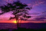 Tramonto sulla pelle