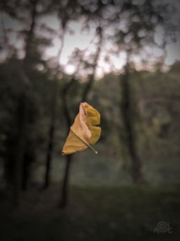 Autunno