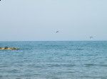 Nel mare  