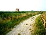 Sulla via