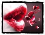 Alito d�amore
