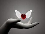 Le ali dell�amore  