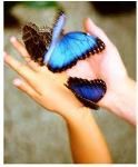 Libert� d�amore  