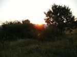L�alba