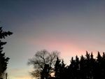 Alba d�amore