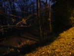 Come d�autunno