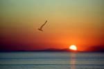 L�isola inventata